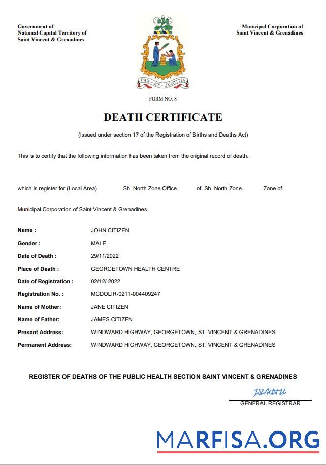 Printable Saint Vincent and the Grenadines vital record death certificate Word and PDF template